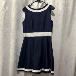 Sail to Sable Blue and White Fit and Flare Dress